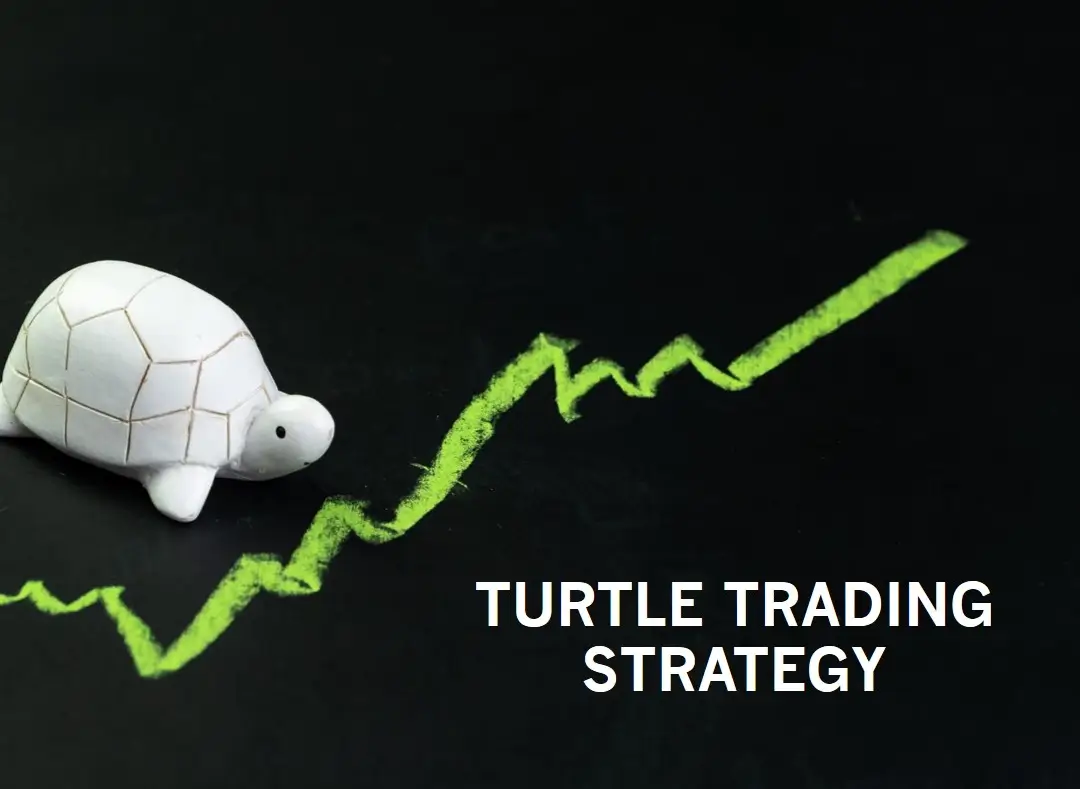 Turtle Trading Strategy_ History of Turtle Trading.webp