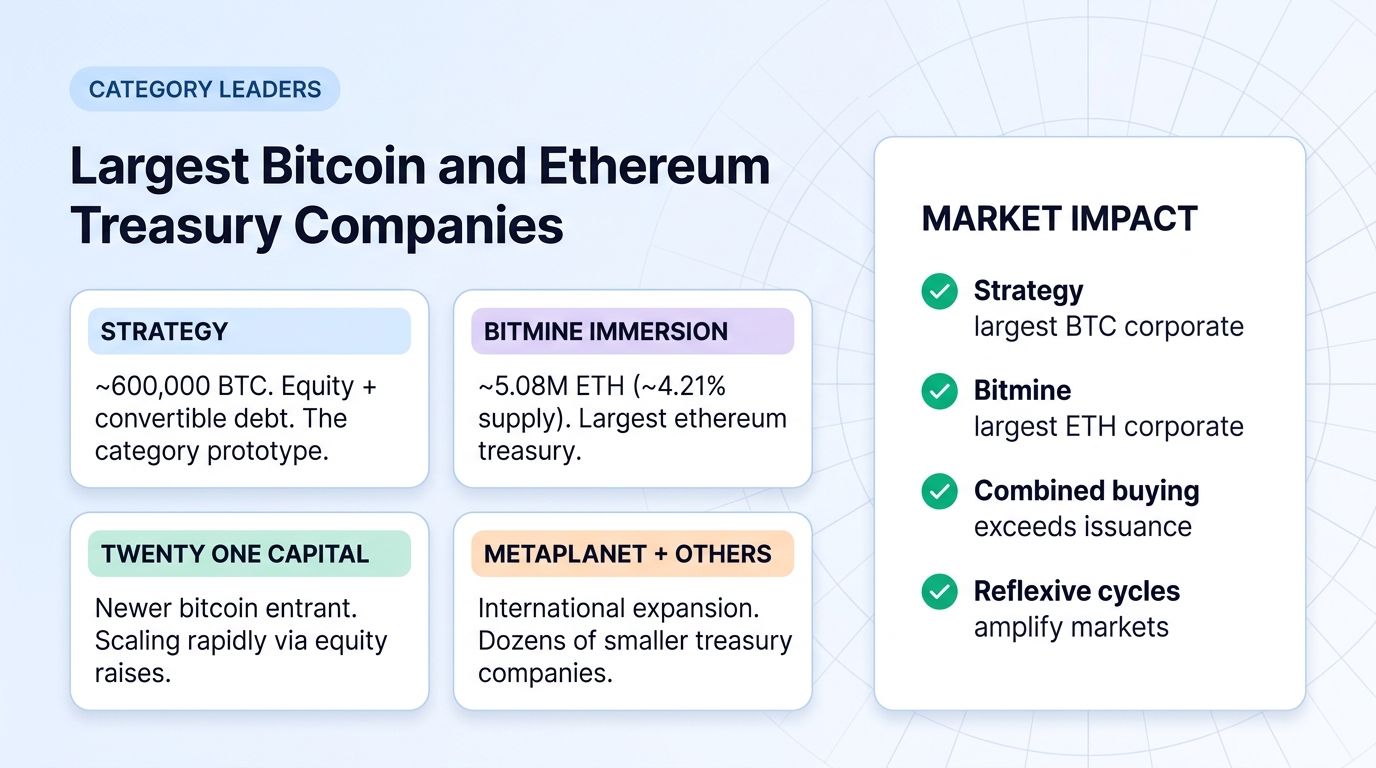 Largest bitcoin and ethereum treasury companies in 2026