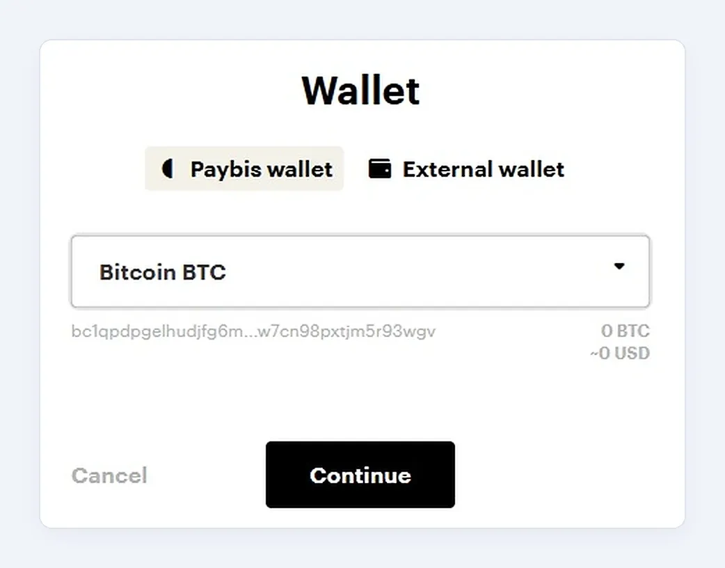 Paybis wallet step with a choice between the Paybis wallet and an external wallet