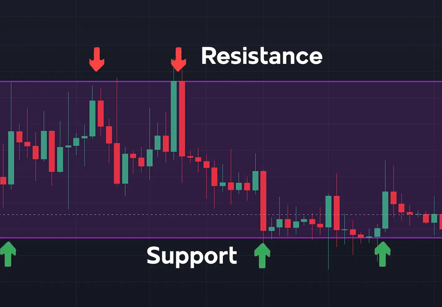 resistance support.webp